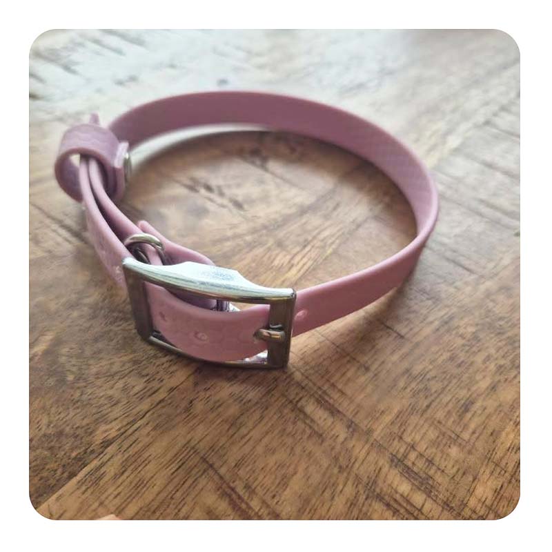 Halsband basic