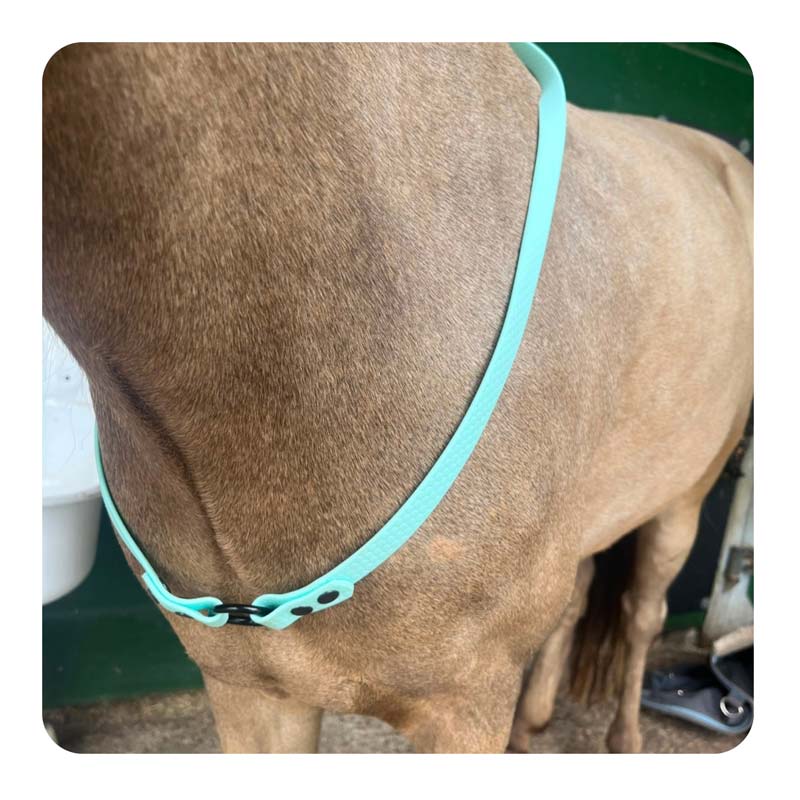 neckrope
