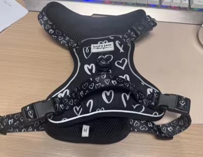Love heart harness